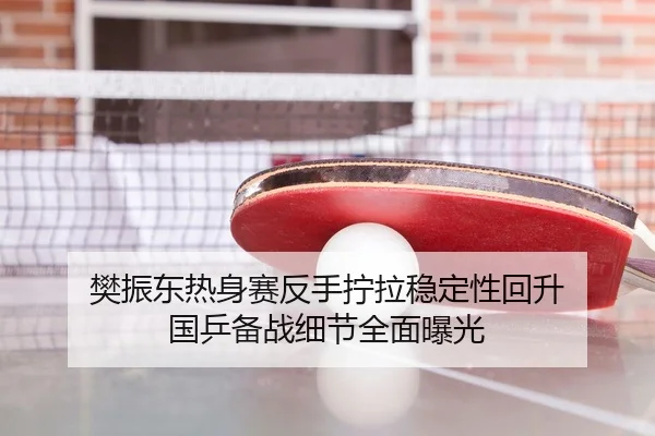 樊振东热身赛反手拧拉稳定性回升 国乒备战细节全面曝光